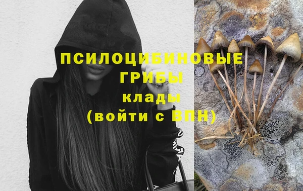 прущая мука Бородино