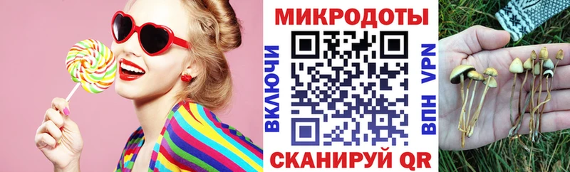Галлюциногенные грибы мухоморы  купить наркотик  Топки 